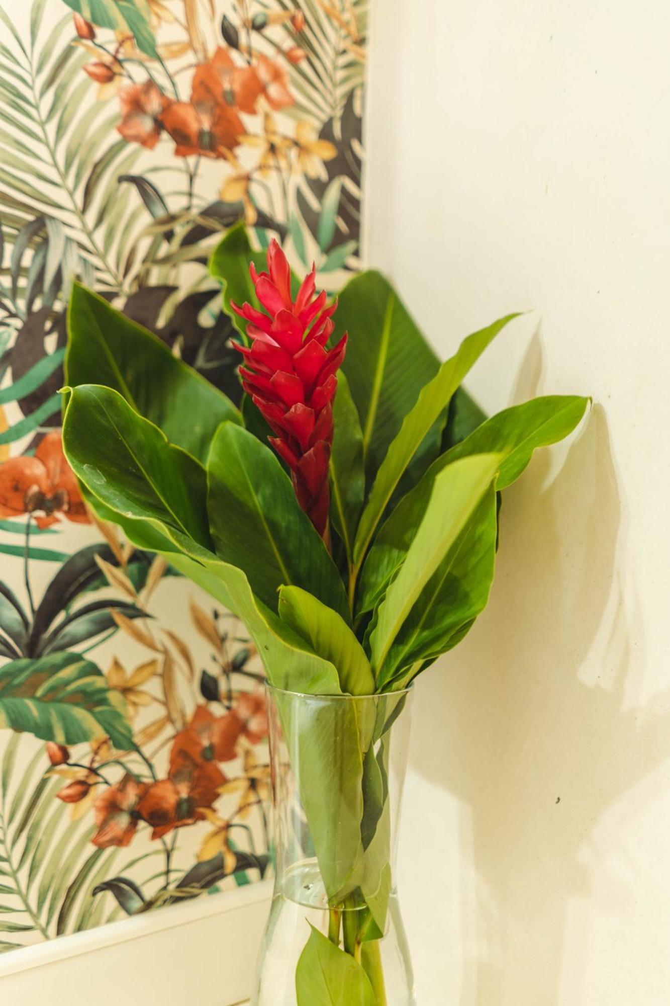 Punta Popy Boutique Hotel (Adults Only) Las Terrenas Zimmer foto